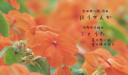 ほうせんか・ことうた(大和市文化祭参加)